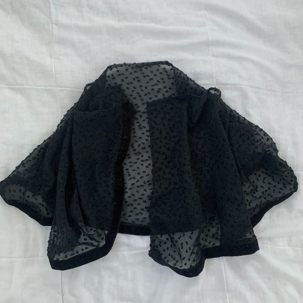 Sheer Black Chiffon Shawl